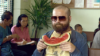Zach Galifianakis, The Hangover, Classic comedy, Memorable moments HD wallpaper