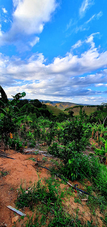 A natureza, ceu., natureza. HD phone wallpaper