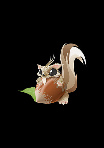 Squirrel, Art, Vector, Nut HD phone wallpaper