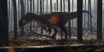 Allosaurus fragilis, Reconstruction finished projects, Blender artists community, Allosaurus HD wallpaper