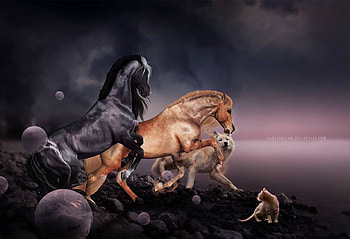 horse and wolf art, white, timber, saying, horse, black, wolves, , wolf, canislupus, howling, wolf art, wisdom HD wallpaper