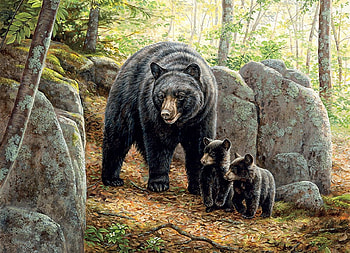 Your first Trip, bears, painting, forest, stones HD wallpaper