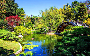Beautiful park, San Marino, California, Beautiful, Park, San Marino, Nature, California HD wallpaper
