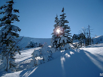 mountains in Poland, poland, snow, mountain HD wallpaper