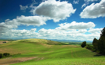 Landscape, Nature, Clouds, Field, Hills HD wallpaper