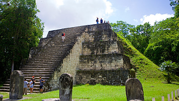 Visit Tikal, Best of Peten, Travel guide 2022, Expedia's top picks HD wallpaper