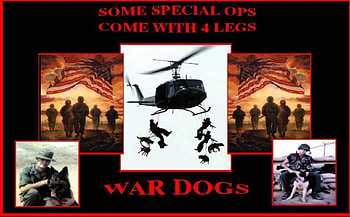 War Dogs, marines, recon, usmc, marine corps HD wallpaper