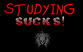 Studying sucks!!, words, black, skull, sucks, collage, sin, cool, studying, notice HD wallpaper