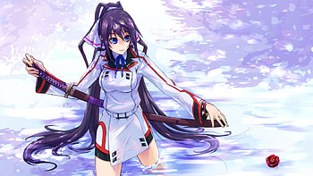 IS Infinite Stratos, Anime, Female character HD wallpaper