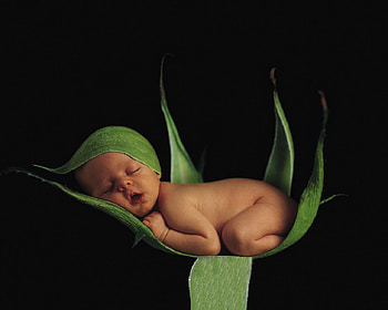 good sleep, baby, dream, sleep HD wallpaper