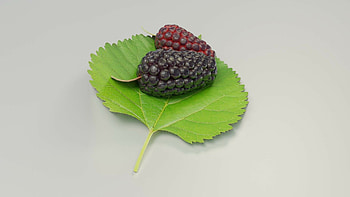 Disco mulberry model, 3D food, Vibrant colors, Unique texture HD wallpaper