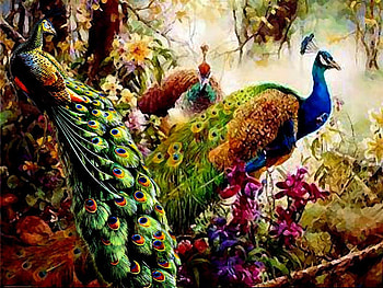 wings and magical beauty of color, wings, and, color, magical, of, beauty HD wallpaper