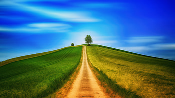 Nature, Grass, Sky, Summer, Road, Field, Hill HD wallpaper