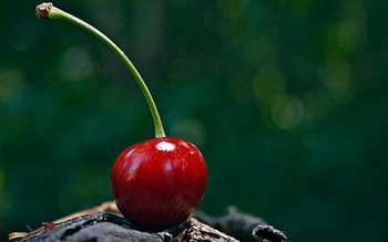 Food, Background, Cherry, Glare HD wallpaper