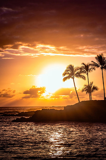 Nature, Sunset, Sea, Palms, Rocks, Glare HD phone wallpaper