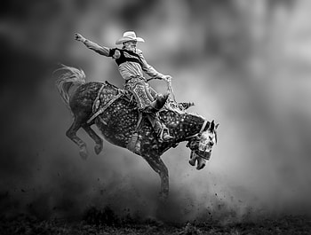 Rodeo, Irene Yu Wu HD wallpaper