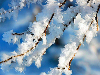 Landscape, Winter, Snow HD wallpaper