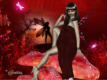 Fairies, abstract, fantasy, mushrooms HD wallpaper
