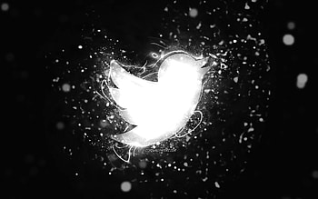 Twitter white logo, , white neon lights, creative, black abstract background, Twitter logo, social network, Twitter HD wallpaper