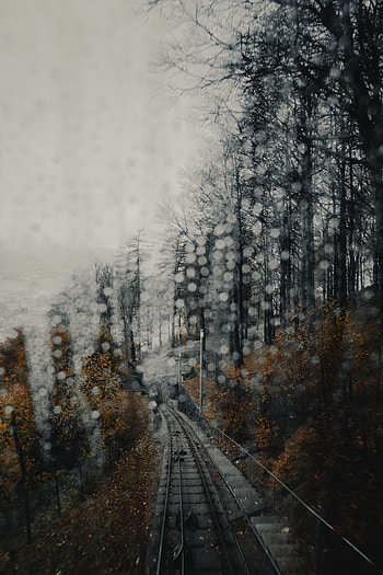 Rails, Nature, Glare, Forest, Fog, Railway HD phone wallpaper