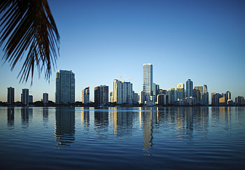 Miami Skyline, Travels, Americas regional meeting, Globalaw HD wallpaper