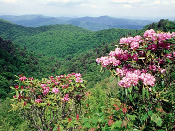 Blue ridge parkway, forests, nature HD wallpaper
