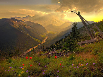 Blossom hills, nature, hills HD wallpaper