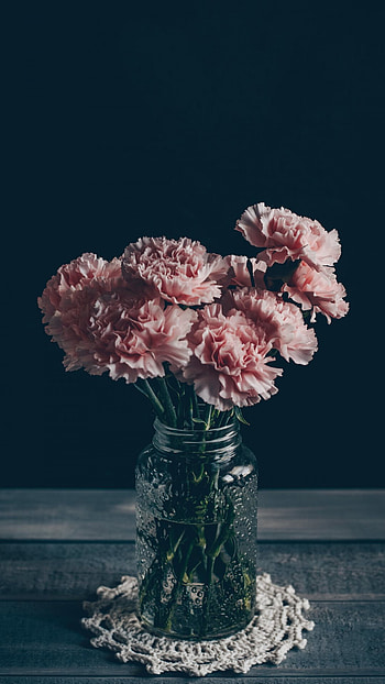 Bouquet, Carnations HD phone wallpaper
