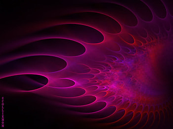 Plankton by Colliemom . jpg, purple, pink, mix, red HD wallpaper