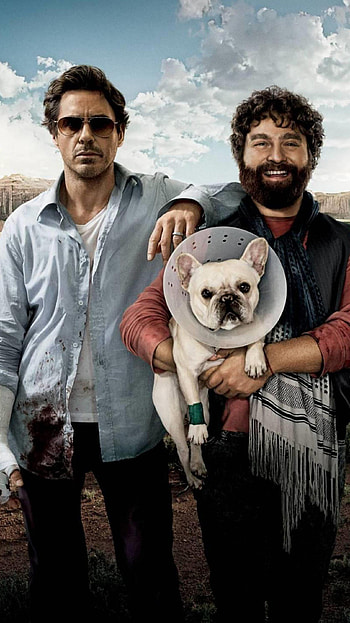 Due Date (2022) movie HD phone wallpaper