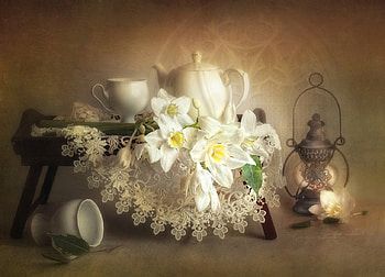 * Still Life *, still life, old, white, graphy, lamp, decor, flowers, cup HD wallpaper