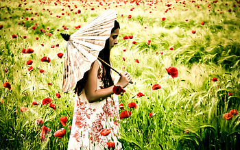 Poppies Field, umbrella, field flowers, beauty, flowers field, poppies, summer time, lady, poppy, sweet, field of poppies, hands, girl, beautiful, grass, little lady, hand, summer, pretty, field of flowers, green, face, nature, lovely HD wallpaper