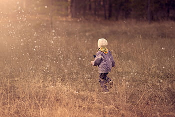 A young child runs through a grassy field during sunset, enjoying the dom of outdoor play. HD wallpaper