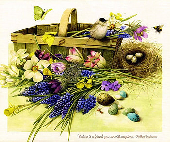 springtime, birds, flowers, spring HD wallpaper