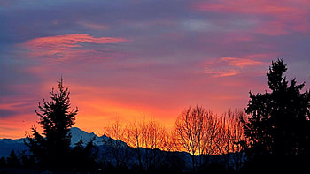 This Magic Hour, trees, landscape, sky, sunset, clouds HD wallpaper