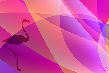 flemingo abstract, orande, pink, tint, abstract, flemingo HD wallpaper