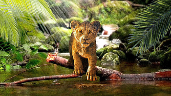 The Lion King Simba 2019, the-lion-king, lion, 2019-movies, movies, disney, simba, behance HD wallpaper
