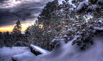 Let it snow.., winter, white, landscape, cold, r, beauty, time, snow, clouds, trees, nature, sky, amazing, forest, places HD wallpaper