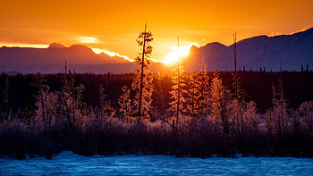 Alaskan Sunrise, winter, snow, colors, trees, landscape, sky, mountains, usa HD wallpaper