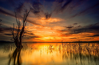 River sunset, river, golden, glow, beautiful, orange, nice, reflection, clouds, nature, sky, amazing, lovely, sunset HD wallpaper