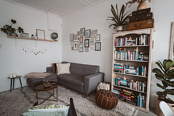 Comfortable living room with a modern sofa, bookshelf and decorative plants. HD wallpaper