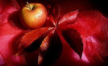 Still Life, Food, Apple, Leaf, Sheet HD wallpaper