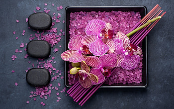Spa concept, Flowers, Salt, Stones, Sticks HD wallpaper