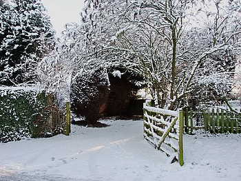 Around the Bend, trees, bushes, snow, fence HD wallpaper