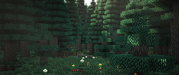 Modded Cold Forest, forest, Minecraft, daytime, Shaders, nature HD wallpaper