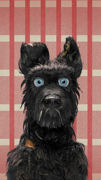 Chief, Isle of Dogs HD phone wallpaper