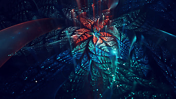 Abstract, Flower, Shine, Brilliance, Fractal, Fractal Art HD wallpaper