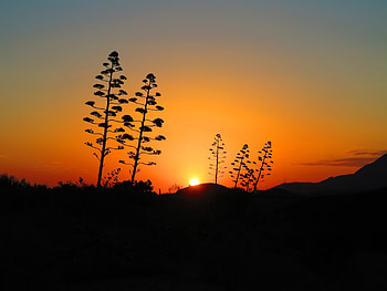 Dawn over Mojacar, Southern Spain, Dawn, Mojacar, Clera Sky HD wallpaper