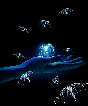 Woodsprites, hand, dark, avatar, tree of souls HD phone wallpaper