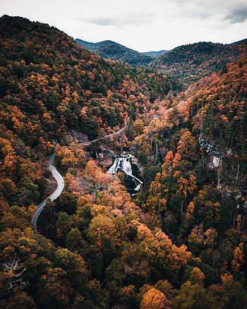 Nature, Trees, Mountains, Autumn, View From Above, Road HD phone wallpaper